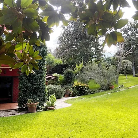 Villa Aureliagreenvilla, #secretplacerome - 4 Bathrooms