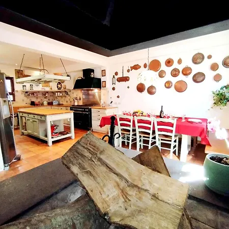 Aureliagreenvilla, #secretplacerome - 4 Bathrooms Villa Roma