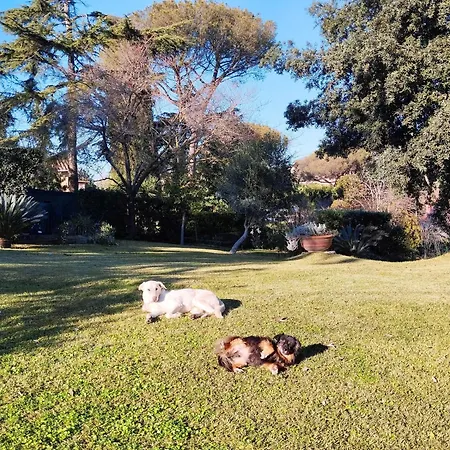 Villa Aureliagreenvilla, #secretplacerome - 4 Bathrooms Rome